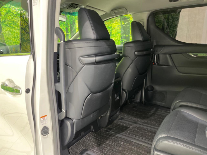 2018 Toyota Alphard Hybrid DAA-AYH30W (UW-69ef57dd51baf)[22]