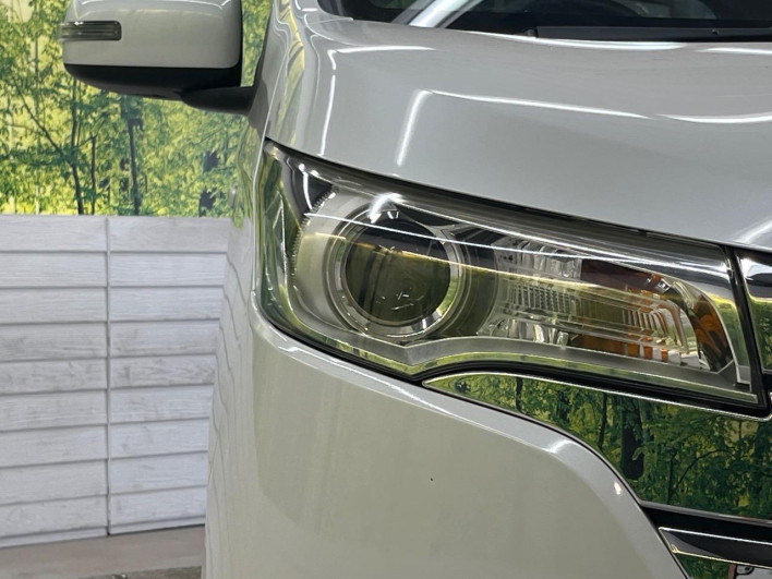 2013 Nissan Days DBA-B21W (UW-69ef57e6b2ddc)[18]