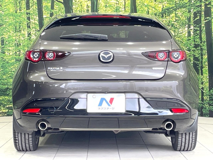 2021 Mazda Mazda 3 Fastback 6BA-BP5P (UW-69ef57f326af8)[20]