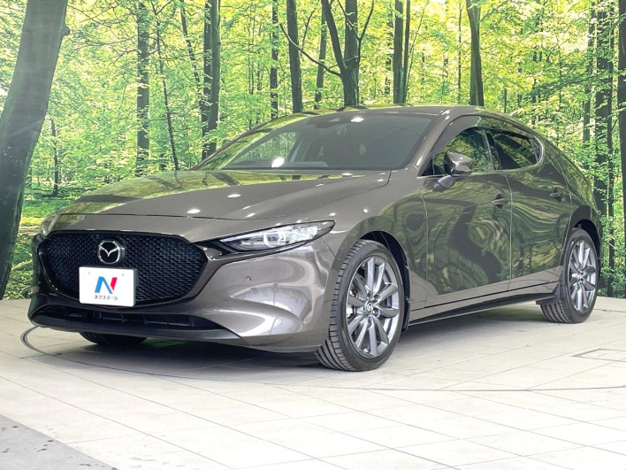 2021 Mazda Mazda 3 Fastback 6BA-BP5P (UW-69ef57f326af8)[15]