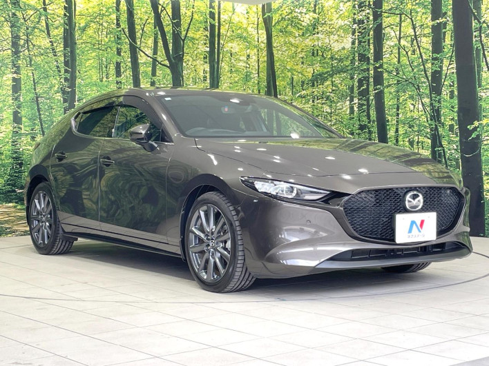 2021 Mazda Mazda 3 Fastback 6BA-BP5P (UW-69ef57f326af8)[17]