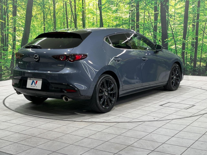 2019 Mazda Mazda 3 Fastback 3AA-BPEP (UW-69ef57f413bb6)[8]