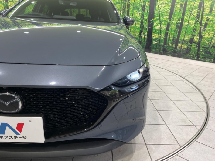 2019 Mazda Mazda 3 Fastback 3AA-BPEP (UW-69ef57f413bb6)[25]