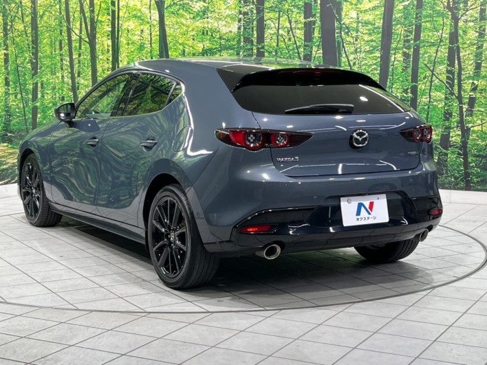 2019 Mazda Mazda 3 Fastback 3AA-BPEP (UW-69ef57f413bb6)[10]
