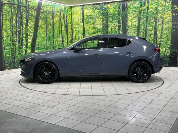 2019 Mazda Mazda 3 Fastback 3AA-BPEP (UW-69ef57f413bb6)[11]