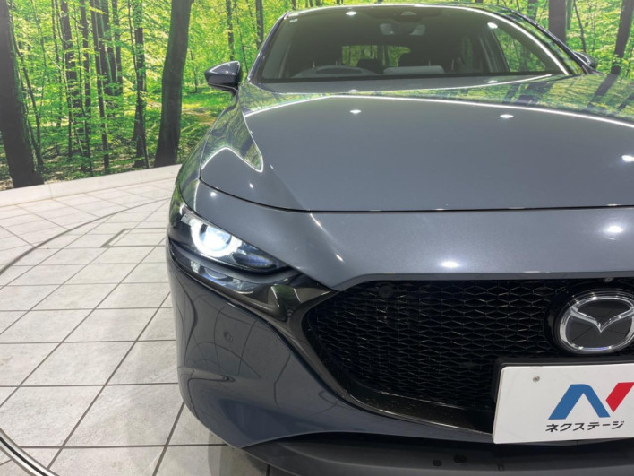 2019 Mazda Mazda 3 Fastback 3AA-BPEP (UW-69ef57f413bb6)[26]