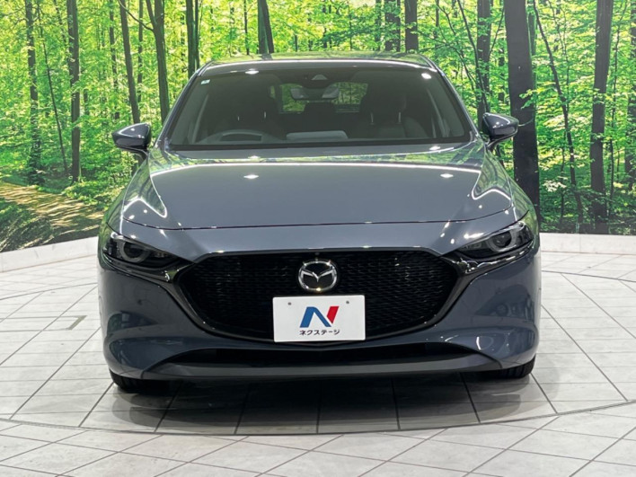 2019 Mazda Mazda 3 Fastback 3AA-BPEP (UW-69ef57f413bb6)[5]