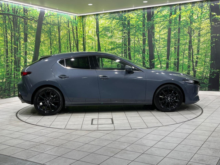 2019 Mazda Mazda 3 Fastback 3AA-BPEP (UW-69ef57f413bb6)[7]