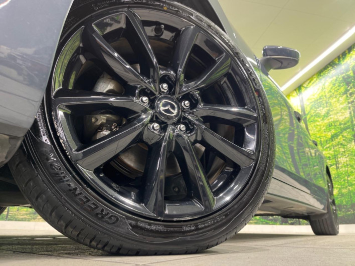 2019 Mazda Mazda 3 Fastback 3AA-BPEP (UW-69ef57f413bb6)[17]