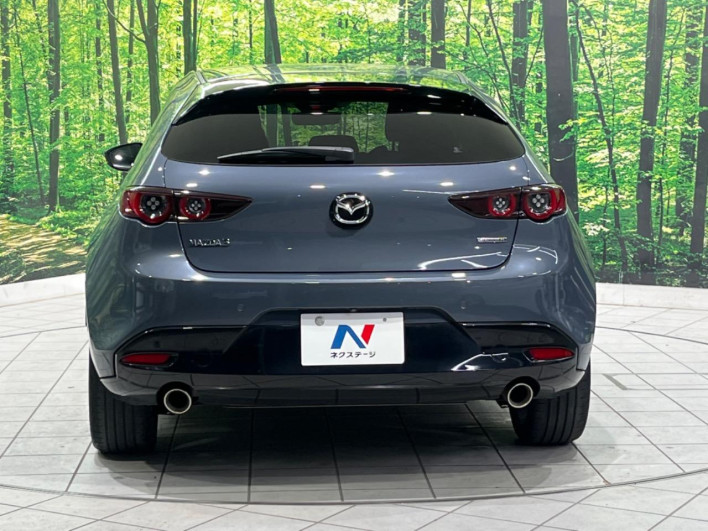 2019 Mazda Mazda 3 Fastback 3AA-BPEP (UW-69ef57f413bb6)[9]