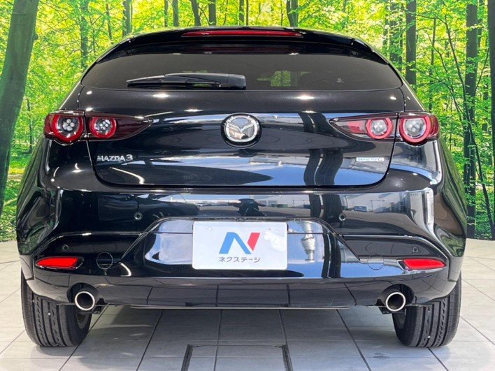 2019 Mazda Mazda 3 Fastback 5BA-BPFP (UW-69ef57f4f302c)[10]