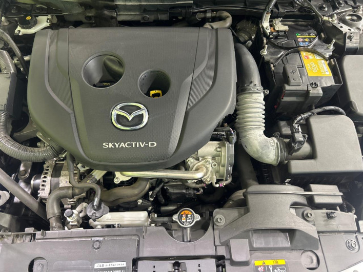2020 Mazda Mazda2 3da-dj5fs (UW-69ef5800ae85c)[4]