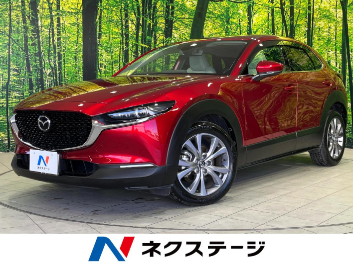 2022 Mazda CX-30 3DA-DM8P (UW-69ef5802a19cf)[3]