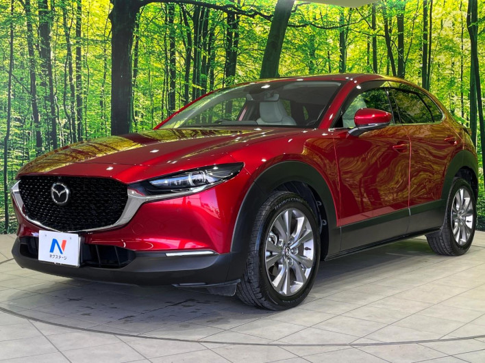 2022 Mazda CX-30 3DA-DM8P (UW-69ef5802a19cf)[19]