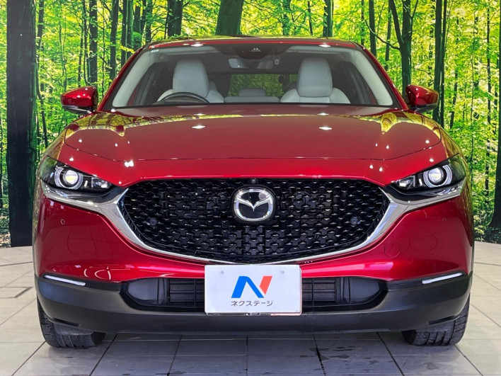 2022 Mazda CX-30 3DA-DM8P (UW-69ef5802a19cf)[20]