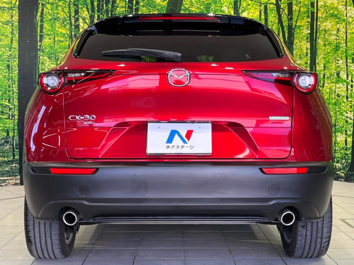 2022 Mazda CX-30 3DA-DM8P (UW-69ef5802a19cf)[23]