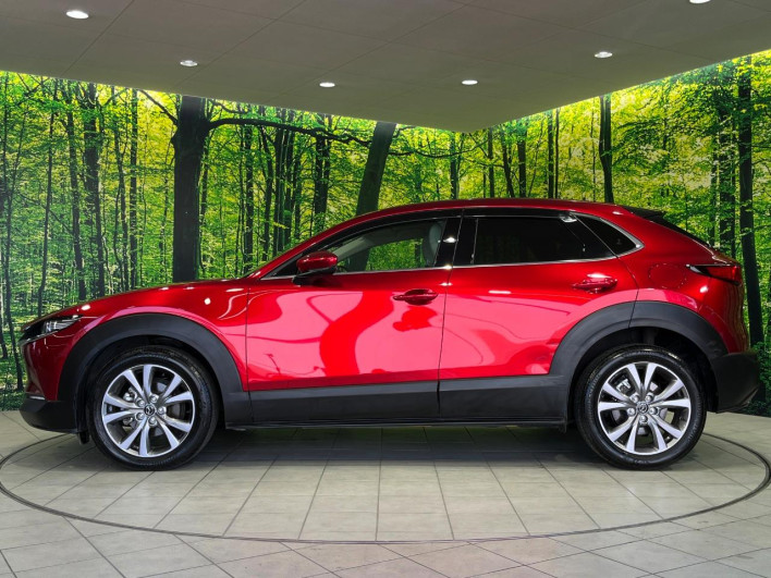 2022 Mazda CX-30 3DA-DM8P (UW-69ef5802a19cf)[21]