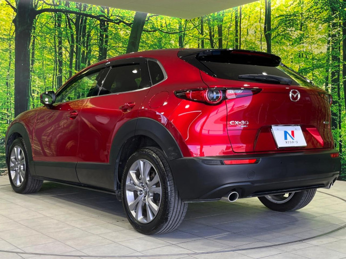 2022 Mazda CX-30 3DA-DM8P (UW-69ef5802a19cf)[22]