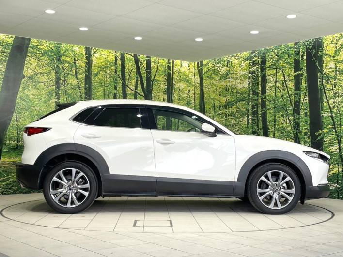 2019 Mazda CX-30 3AA-DMFP (UW-69ef58031db70)[18]