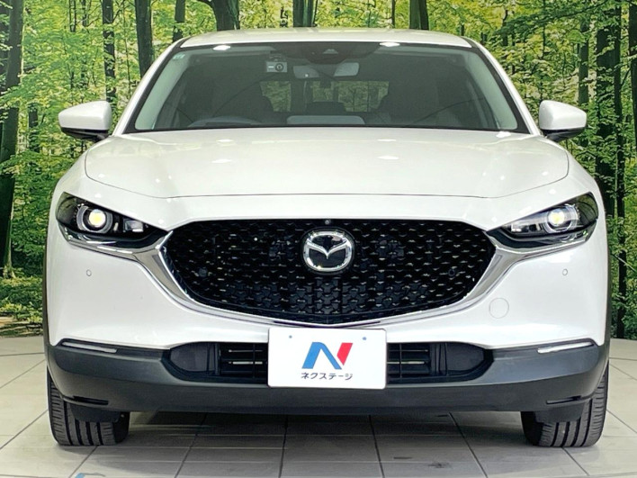 2019 Mazda CX-30 3AA-DMFP (UW-69ef58031db70)[16]