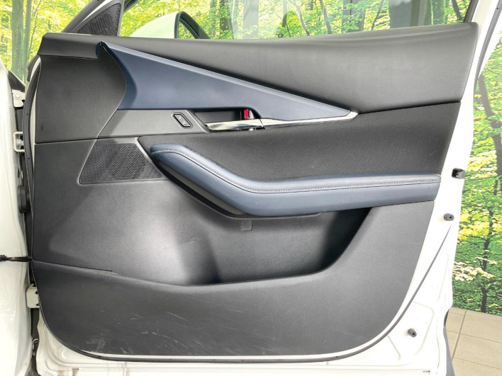 2019 Mazda CX-30 3AA-DMFP (UW-69ef58031db70)[25]