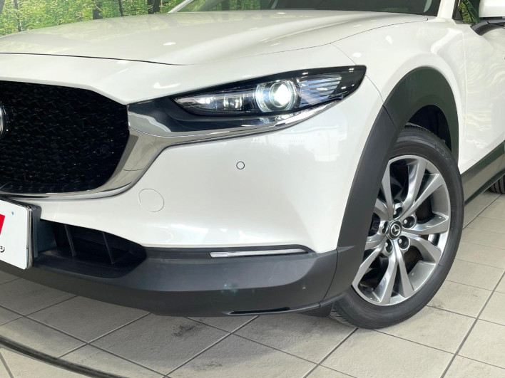 2019 Mazda CX-30 3AA-DMFP (UW-69ef58031db70)[14]