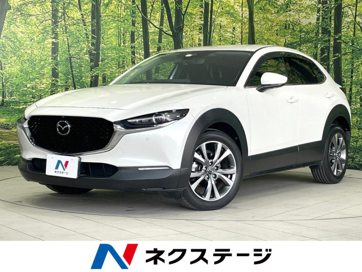 2019 Mazda CX-30 3AA-DMFP (UW-69ef58031db70)[3]