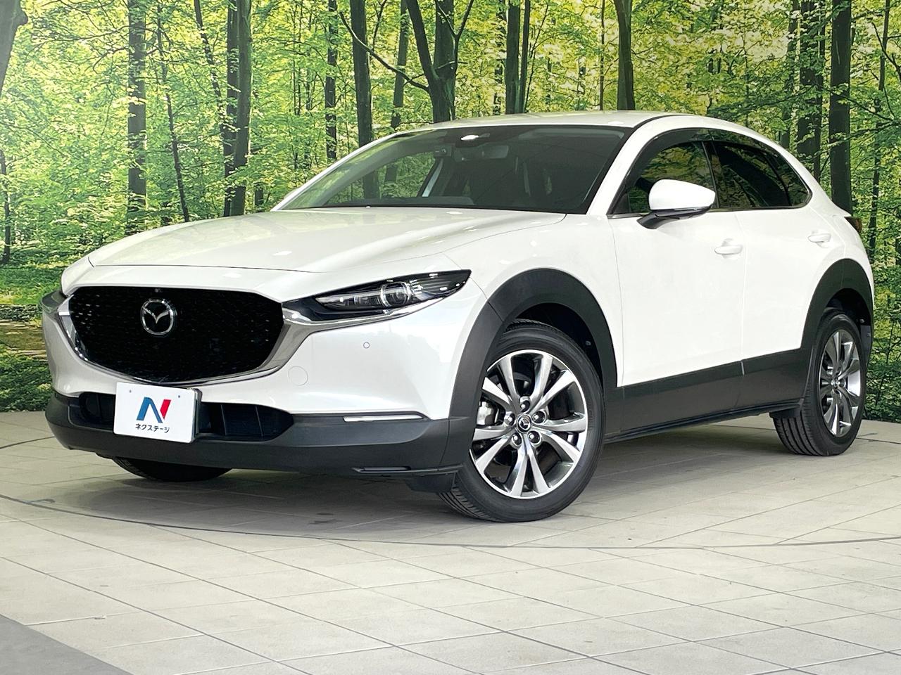 2019 Mazda CX-30 3AA-DMFP