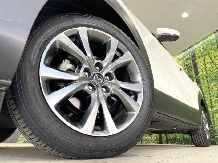 2019 Mazda CX-30 3AA-DMFP (UW-69ef58031db70)[8]