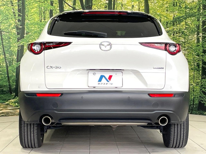 2019 Mazda CX-30 3AA-DMFP (UW-69ef58031db70)[20]