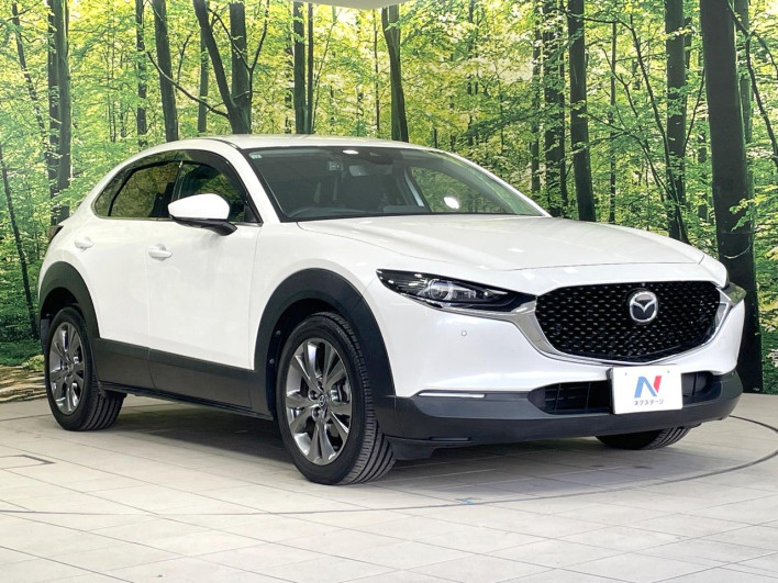 2019 Mazda CX-30 3AA-DMFP (UW-69ef58031db70)[17]