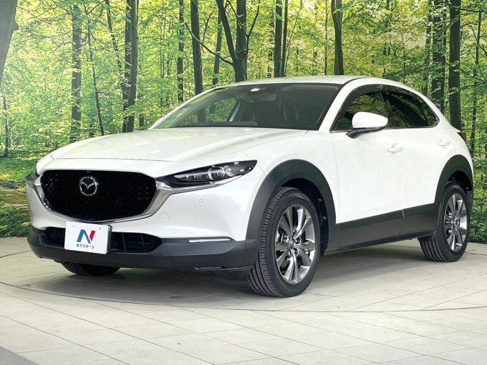 2019 Mazda CX-30 3AA-DMFP (UW-69ef58031db70)[15]