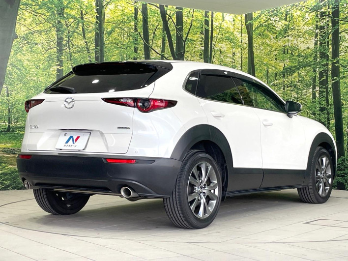 2019 Mazda CX-30 3AA-DMFP (UW-69ef58031db70)[19]