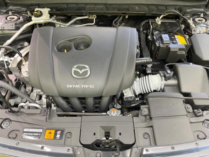 2023 Mazda MX-30 5AA-DREJ3P (UW-69ef5803bef34)[5]