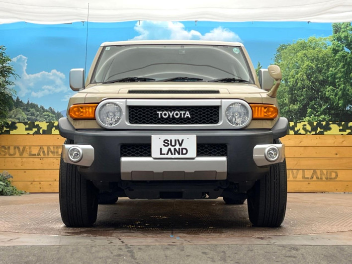 2017 Toyota FJ CRUISER CBA-GSJ15W (UW-69ef5824dc566)[13]