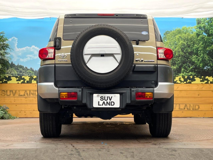 2017 Toyota FJ CRUISER CBA-GSJ15W (UW-69ef5824dc566)[17]