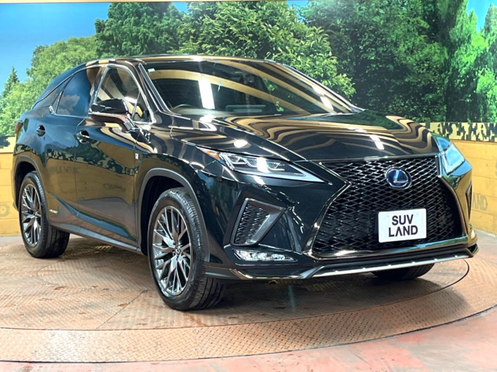 2020 Lexus RX DAA-GYL20W (UW-69ef582c29ea8)[13]