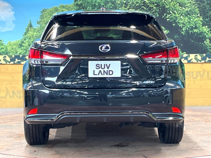2020 Lexus RX DAA-GYL20W (UW-69ef582c29ea8)[16]