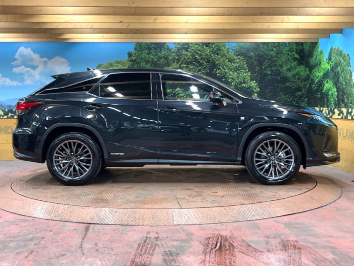 2020 Lexus RX DAA-GYL20W (UW-69ef582c29ea8)[14]