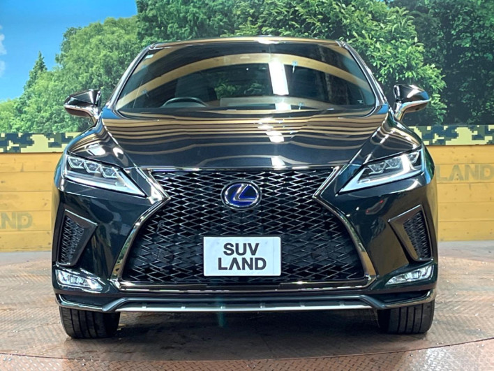 2020 Lexus RX DAA-GYL20W (UW-69ef582c29ea8)[12]