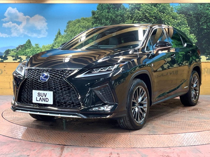 2020 Lexus RX DAA-GYL20W (UW-69ef582c29ea8)[11]