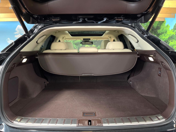 2020 Lexus RX DAA-GYL25W (UW-69ef582cea447)[15]