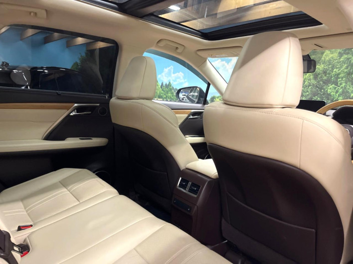 2020 Lexus RX DAA-GYL25W (UW-69ef582cea447)[19]