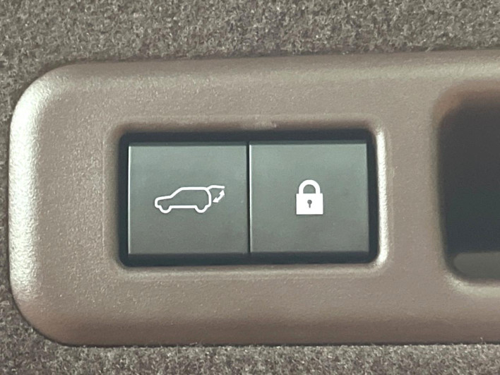 2020 Lexus RX DAA-GYL25W (UW-69ef582cea447)[16]