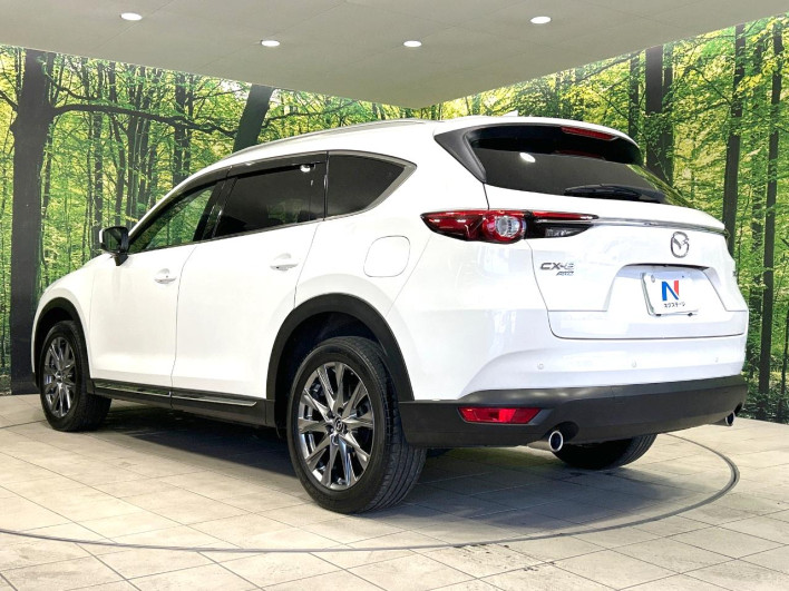 2019 Mazda CX-8 3da-kg2p (UW-69ef585b69a2f)[29]
