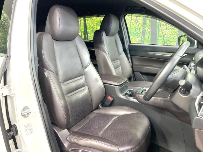 2019 Mazda CX-8 3da-kg2p (UW-69ef585b69a2f)[17]