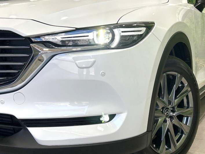 2019 Mazda CX-8 3da-kg2p (UW-69ef585b69a2f)[12]