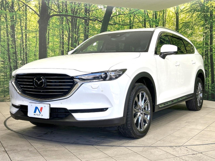 2019 Mazda CX-8 3da-kg2p (UW-69ef585b69a2f)[27]