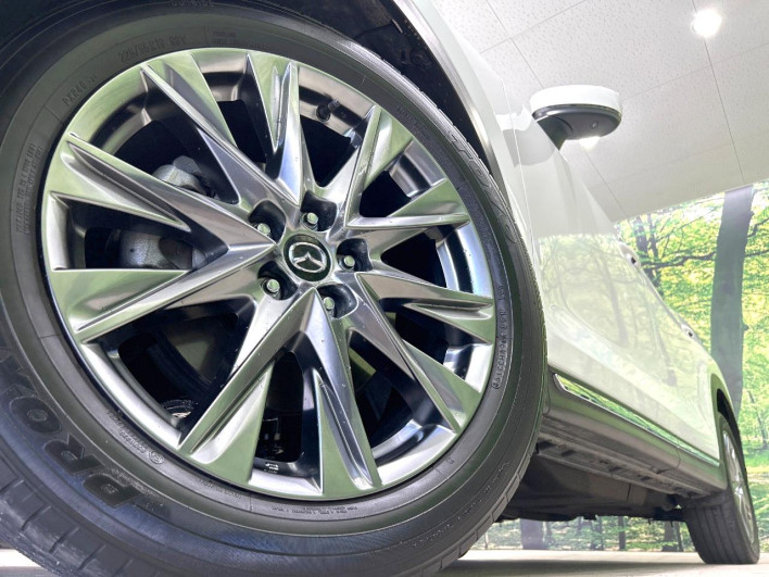 2019 Mazda CX-8 3da-kg2p (UW-69ef585b69a2f)[8]