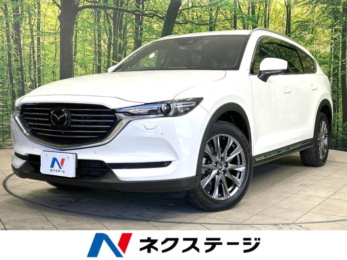 2019 Mazda CX-8 3da-kg2p (UW-69ef585b69a2f)[3]